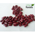 Size 200-220 British Red Kidney Beans Specification